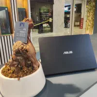 ASUS E410 N4500  اقساطی بدون ضامن