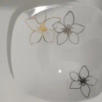 چینی زرین مدل عکس