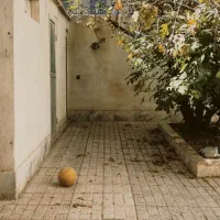 330-متر-آهن-آجر-شمالی-بلوار-فجر-کوچه-باز