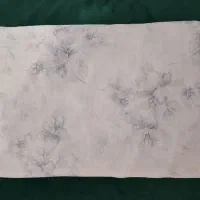 چادر عروس|لباس|قم, تکیه آقا سید حسنی|دیوار