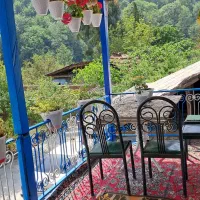 ویلاسنتی وصل به جنگل
