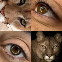 30٪تخفیف ویژه ارایش دائم فقط برای 10 نفر|خدمات آرایشگری و زیبایی|شاهرود, |دیوار