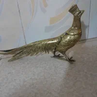طاوس برنز شیک سه عدد