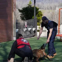 مربی سگ های خانواده و کار