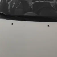 ساینا اس 85 گانه مدل 1404