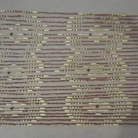 پرده مهره ای