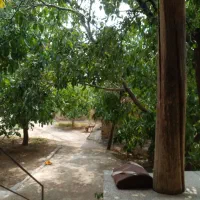 ویلایی روستای وانان