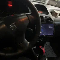 ۲۰۶ تیپ۲ دور رنگ