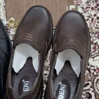 کفش مردانه|کیف، کفش، کمربند|شیراز, شهرک گلستان|دیوار