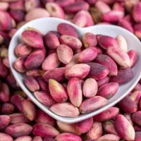 باغدارپسته قزوین برای جوانه‌ی سال بعد برنامه داری