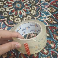 گربه عکس های بعدی|گربه|کوهدشت, |دیوار