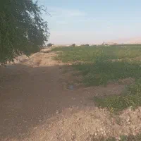 فروش-زمین-آبی-لیشتر-با-اب-سد-دائم