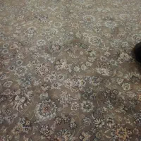 فرش|فرش|کرمانشاه, |دیوار