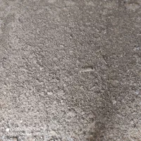 کودکبوترخشکوتمیز