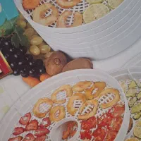 میوه و سبزی خشک کن میوه خشک یلدا