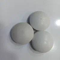 تگ (دزدگیر) صدفی سفید فروشگاهی فرکانس 8.2