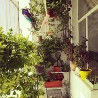 واحد ۸۵متری فول تکمیل فاز ۱ خیابان آسمان شهرجدید|فروش آپارتمان|هشتگرد, فاز ۱ مهستان|دیوار