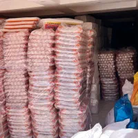 پخش و توزیع لیوان پلاستیکی حدادی ۵۰۰ گرم ۱۶۰ سی سی