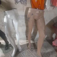 ویترین قفسه رگال و غیره|فروشگاه و مغازه|مشهد, شهرک مهر آباد|دیوار