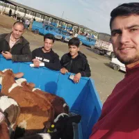 انواع مال درجه یک در بندرترکمن