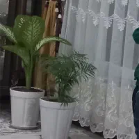 اجاره خانه ۷۵ متری