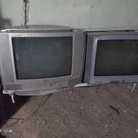 تلوزیون