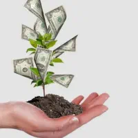 راهنمایی کنید