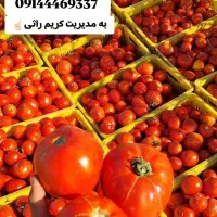 ۰۹۱۴۴۴۶۹۳۳۷به مدیریت کریم راثی