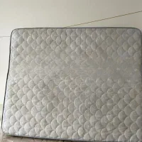 تشک پدیک رویا