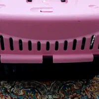 باکس متوسط در حد نو