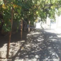 اجاره ویلایی یک خواب روستای منظر محدوده بصیرت|اجارهٔ خانه و ویلا|تربتحیدریه, منظر|دیوار