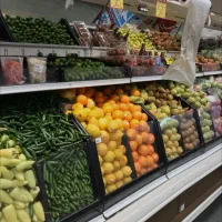 استند میوه|فروشگاه و مغازه|تهران, آرارات|دیوار