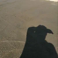 استا بنا تخریب کارسیمان کار جوشکار|خدمات پیشه و مهارت|مشهد, طبرسی شمالی|دیوار