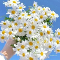 دعانویس خوب ومنصف می خواستم