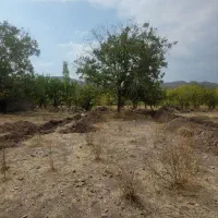 زمین ۴۰۰ متر دهبکری