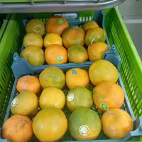 واگذاری مغازه میوه فروشی منطقه خوب