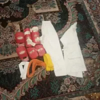 عاشقان کاراته