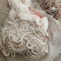 طورماهی 15متر چتری