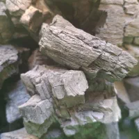 زغال درجه یک کبابی قلیونی