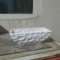 گلدان|گل و گیاه طبیعی|بومهن, |دیوار