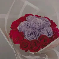 گل روبانی|گل مصنوعی|لاهیجان, یوسف آباد|دیوار