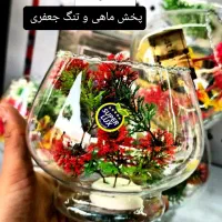 فروش تک و عمده  تنگ و ماهی قرمز