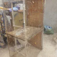 قفس پرنده