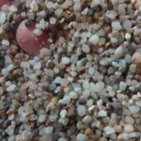 شن عربی مخصوص