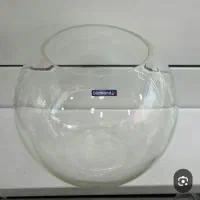 تنگ ماهی قرمز