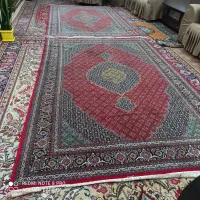 فرش ماهی|فرش|ارومیه, |دیوار