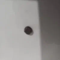 فیروزه نیشابور|جواهرات|چناران, |دیوار