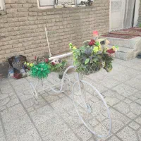 کالسکه|کالسکه و لوازم جانبی|سلماس, |دیوار