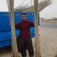 فروش و عرضه انواع نهال ارسال به سراسر کشور