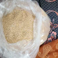 کمنه تمیز شده رامهرمز